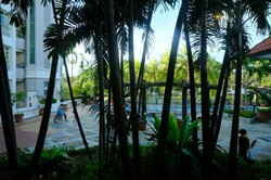 Sandy Palm (D17), Condominium #238618371